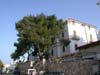 Hotel Timiama