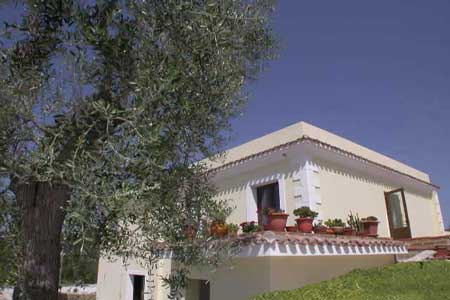 B&B Parco dei Limoni 