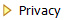 Informativa Privacy